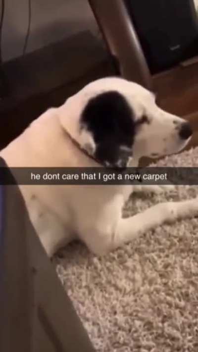 new carpet