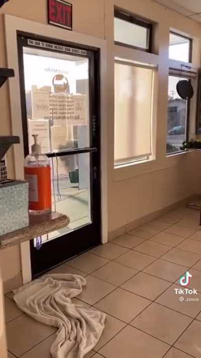 Old lady pounds on door and screams because the groomer isn&rsquo;t open yet