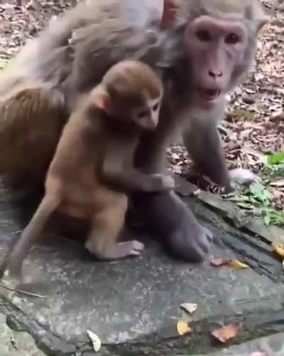 "Don't talk to strangers!" - the universal rule