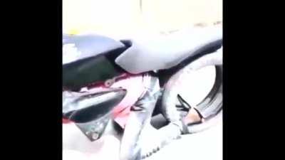 Punjabi car man