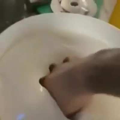 Cursed_mayo