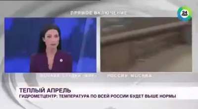 A dog in Russia grabbed the reporter's microphone and ran away during a live broadcast
