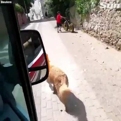 Should they have let him in?