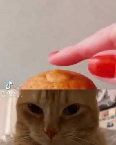 wunkus cupcake