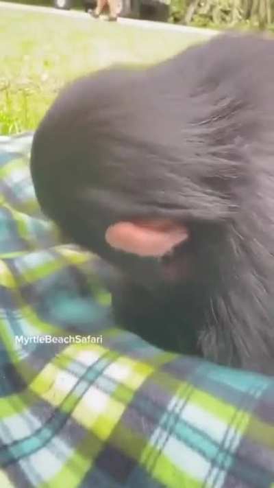 ☺️