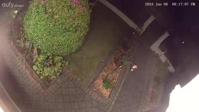 MWhen vehicles approach, my security camera turns on. Footage shows a "car" with headlights on facing my door, but it didn&rsquo;t trigger the camera when parking. The lights turned on, activating the camera, yet the "car" hasn't moved. Could these be something