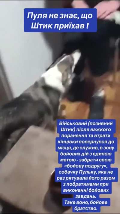 A soldier returned to the place where he served on the front, after being severely wounded and losing a leg, with the sole purpose of taking his &ldquo;combat friend&rdquo;