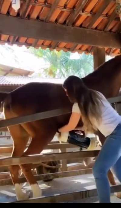 How horses are&hellip; ahem&hellip; handled.