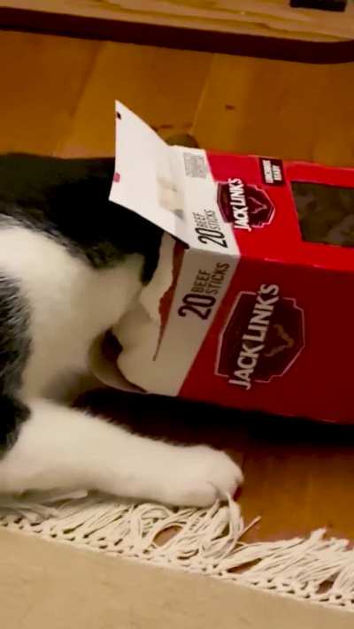 Thorough Inspection