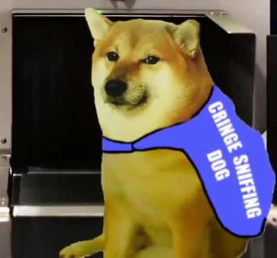 I wanted to see what would happen if the dog go overloaded with cringe