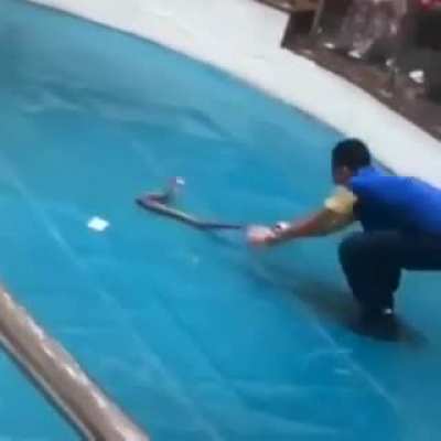Just a guy having fun with a snake