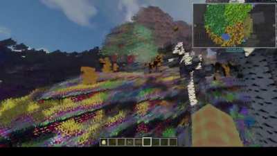 My shaders bugged out and now my character is taking acid