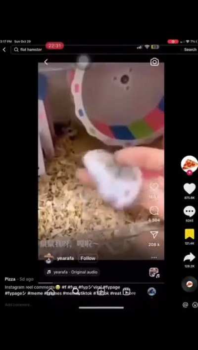 Brutal 
