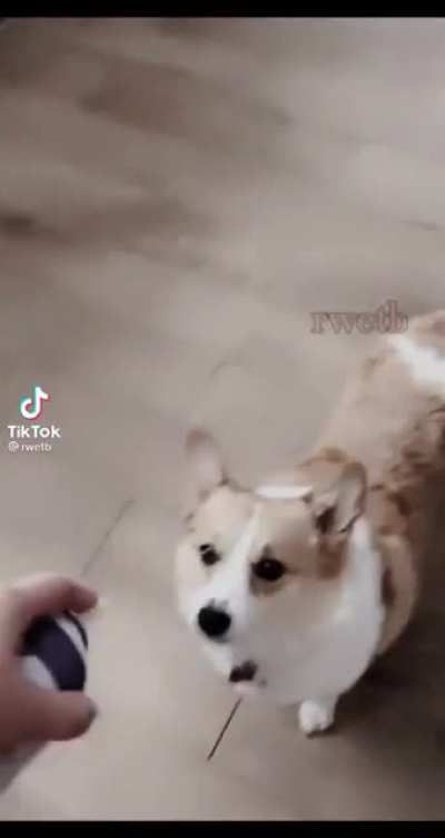 found this masterpiece in my friends tiktok ( the soong is a shela about how friends are wiith you in hard time )