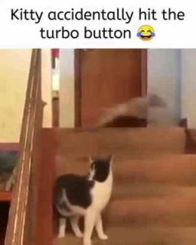 The cat looks very concerned lol