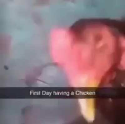 chicken spittin 🔥