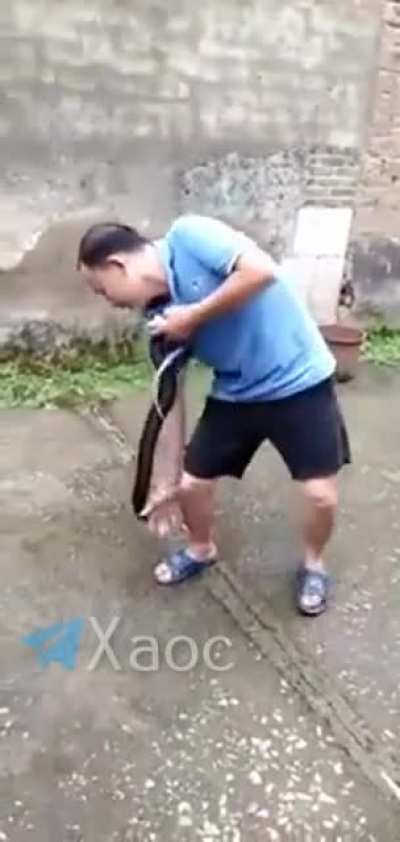 HMFT after playing with this cobra