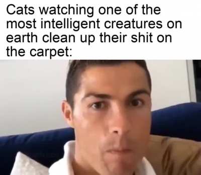 very cool
