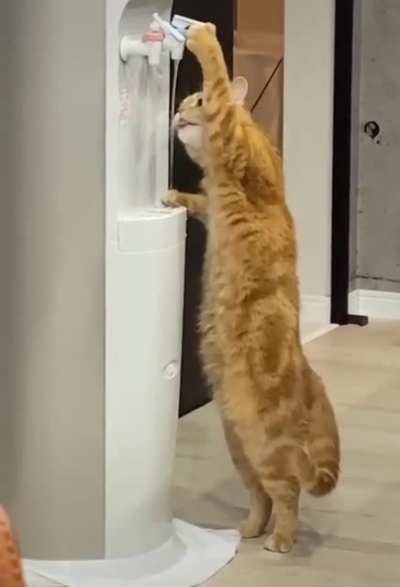 I'm Thirsty