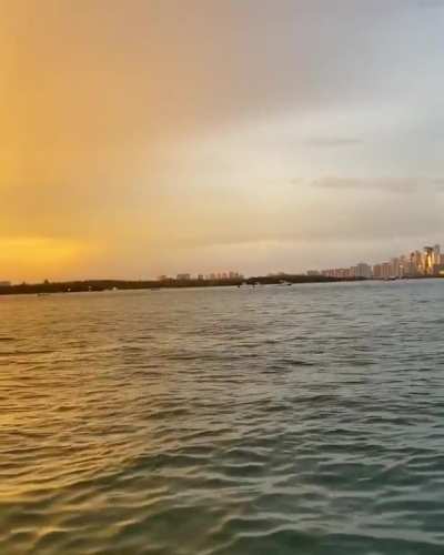 I&rsquo;ll never top this video. Amazing dolphin encounter at Haulover