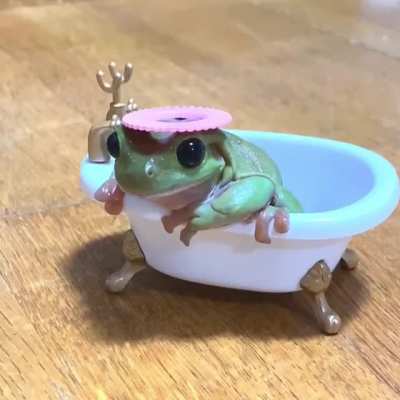 Frog taking a bath