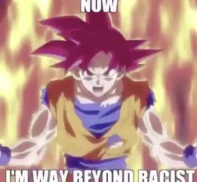 Racism p*ggers