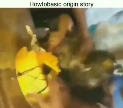 🥚🥚🥚