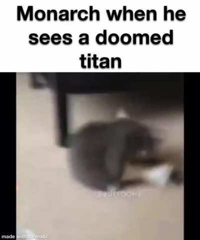If you want more memes check my profile