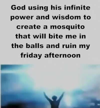 bitchass mosquito
