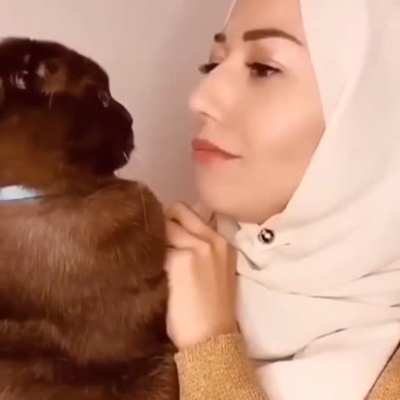 Cat is not halal