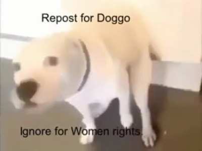 W🤢MEN