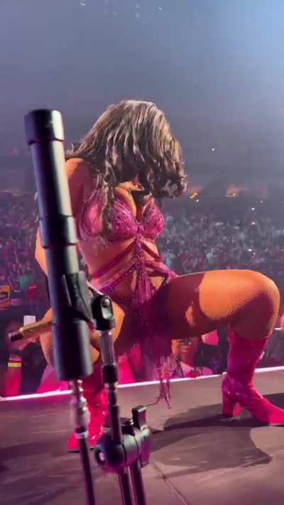 Megan Thee Stallion 
