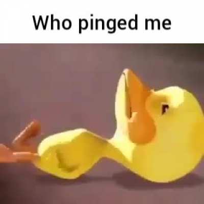 this is every discord memb er!!111!!1!