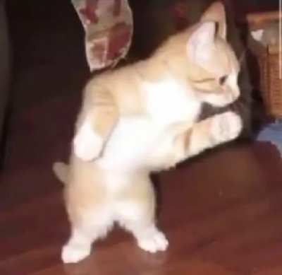 Uwu