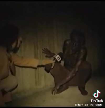 cursed_ratman