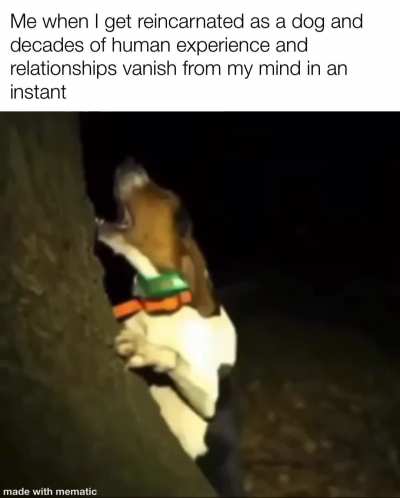 Here we go again 