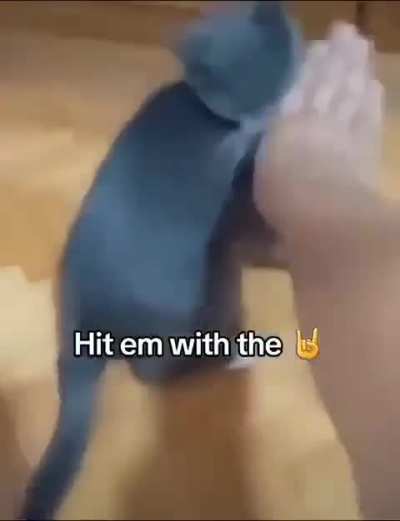 Grggle fight