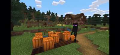 Rule 3 of creating a Minecraft mob