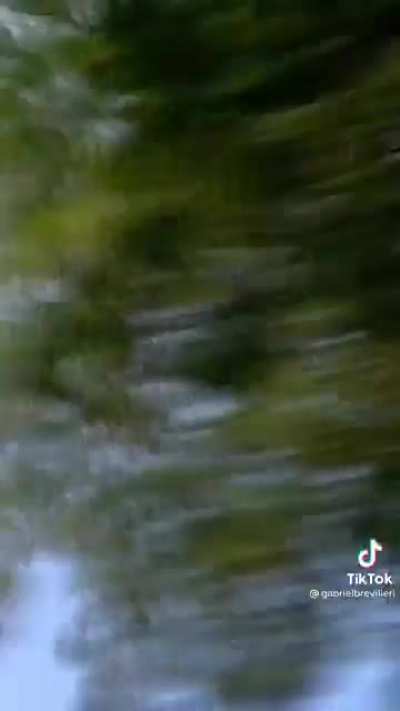 Muito foda mumu