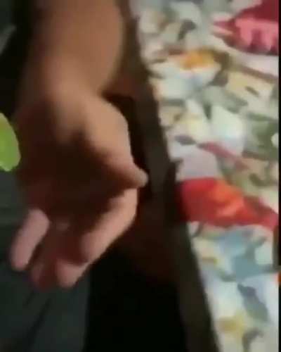 M&amp;amp;M