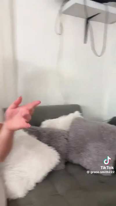 Wow