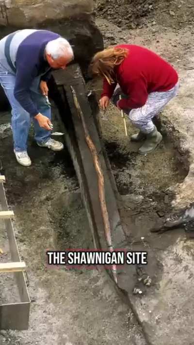Stone Age Killers: Neanderthal Weapons Exposed (not OC)