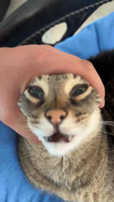 He enjoys the stremtch