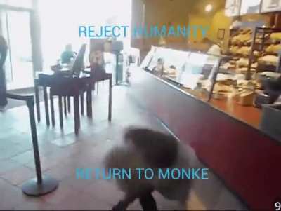 And choose you monkey