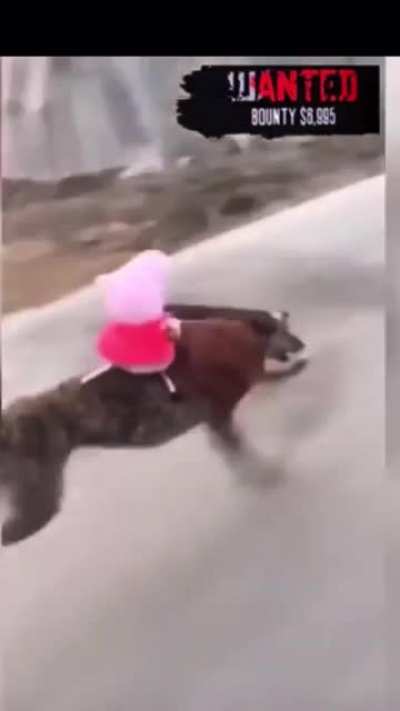 When your horse bumps someone in Saint Denis