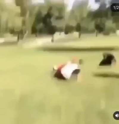 FightsGoneWildpt2 - Video #1755