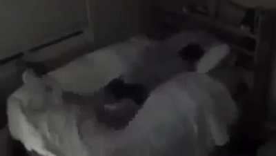 Have camera set up in my bedroom to watch my pets when at work. This time i was asleep.