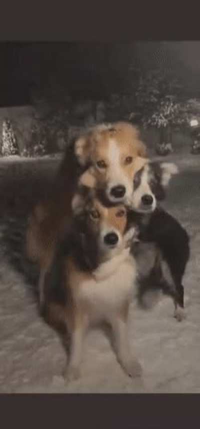 Best friends