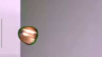 Birdie bullet