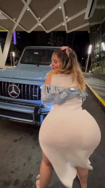 I like this type of hood ornament